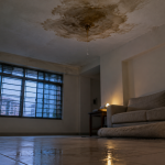 Roof Leaking? What to Do in the First 24 Hours